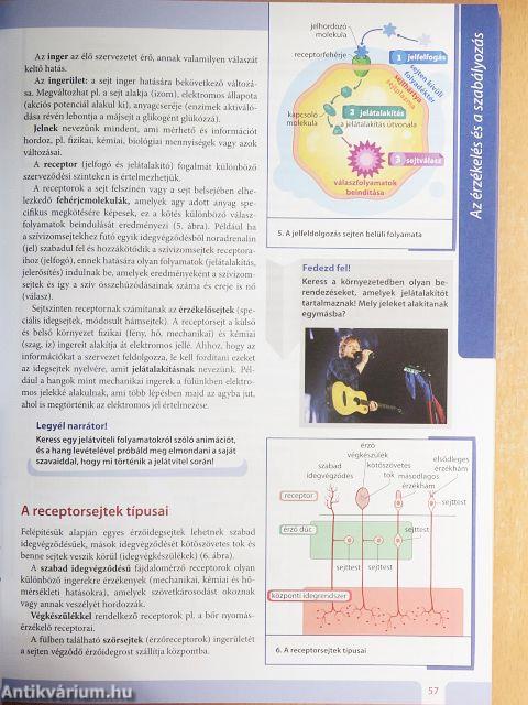 Biológia tankönyv 9-10/II.