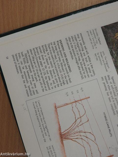 Gardening Month-by-Month