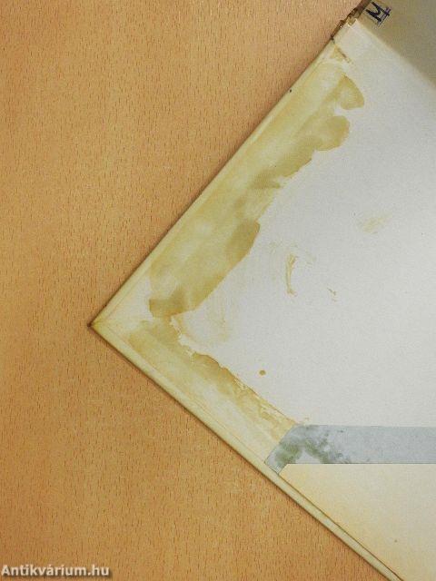 Megyek az orrszarvú után