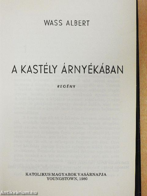 A kastély árnyékában