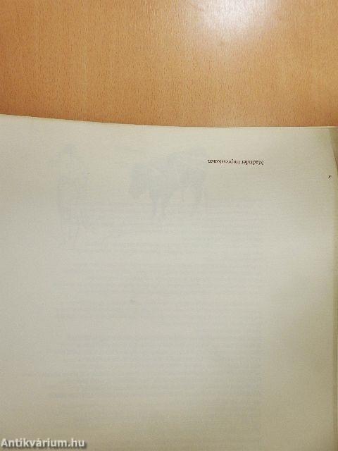 Madrider Impressionen