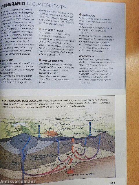 Airone Febbraio 2006
