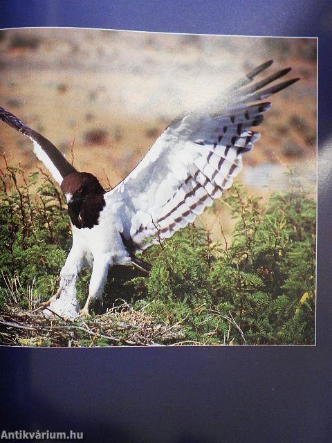 Africa - Environment & Wildlife March/April 1995