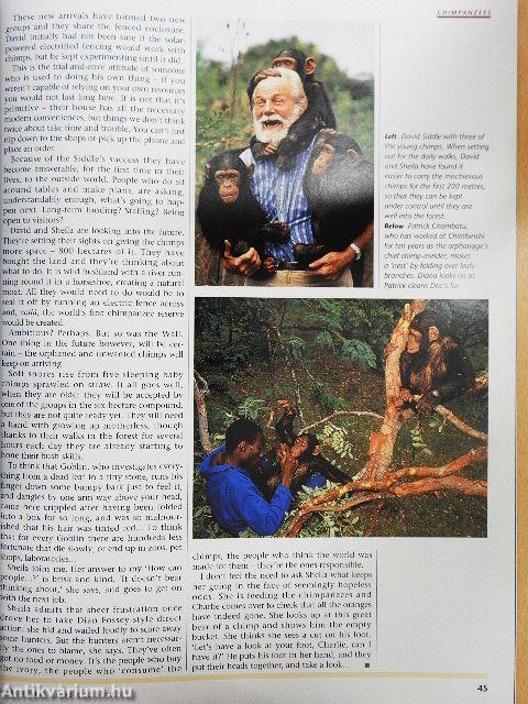 Africa - Environment & Wildlife March/April 1995