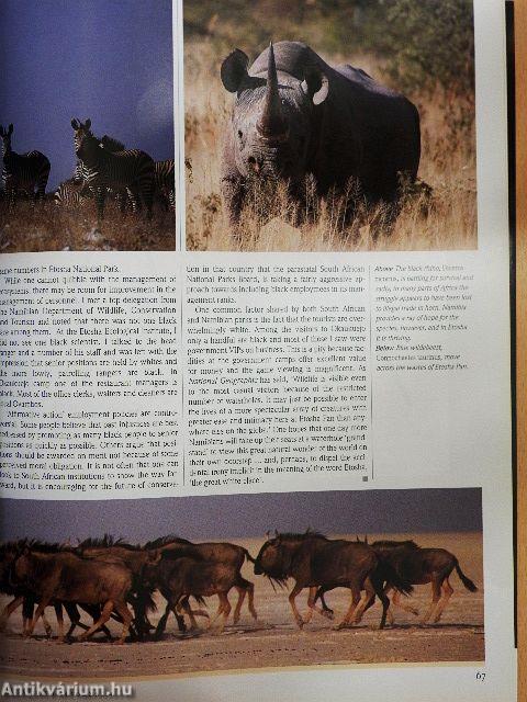 Africa - Environment & Wildlife July/August 1994