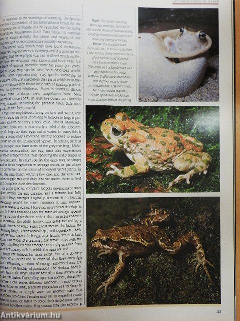 Africa - Environment & Wildlife July/August 1994