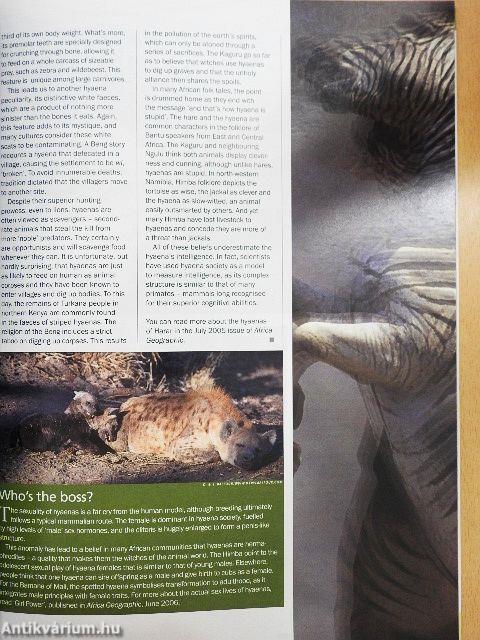 Africa Geographic September 2008