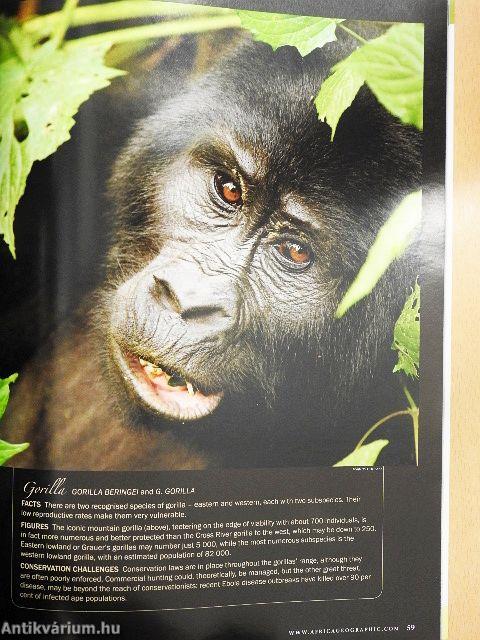 Africa Geographic August 2008