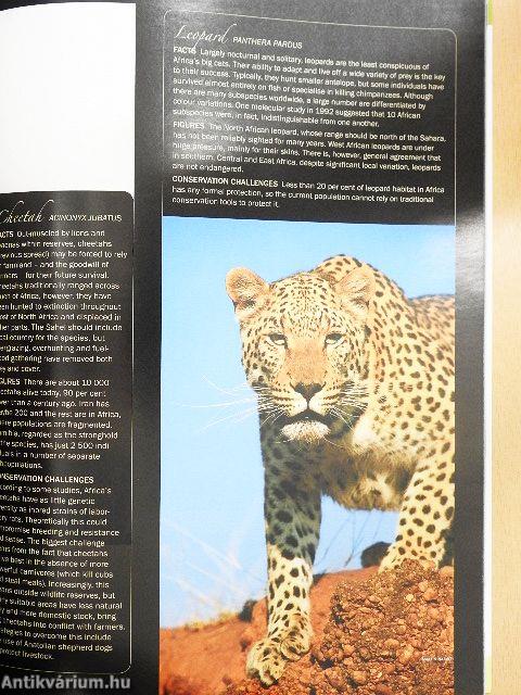 Africa Geographic August 2008