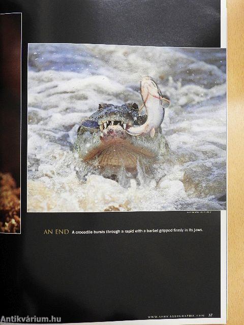 Africa Geographic May 2008