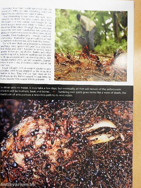 Africa Geographic October 2005