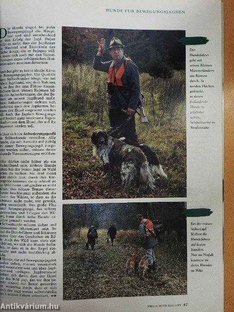 Wild und Hund Exklusiv 18.