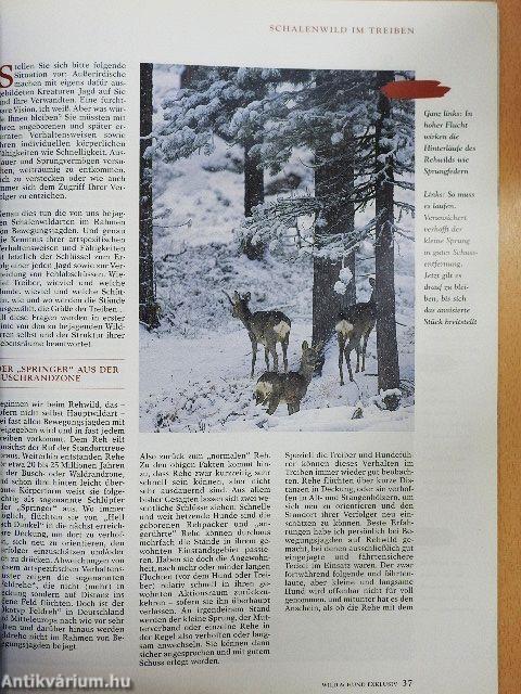 Wild und Hund Exklusiv 18.