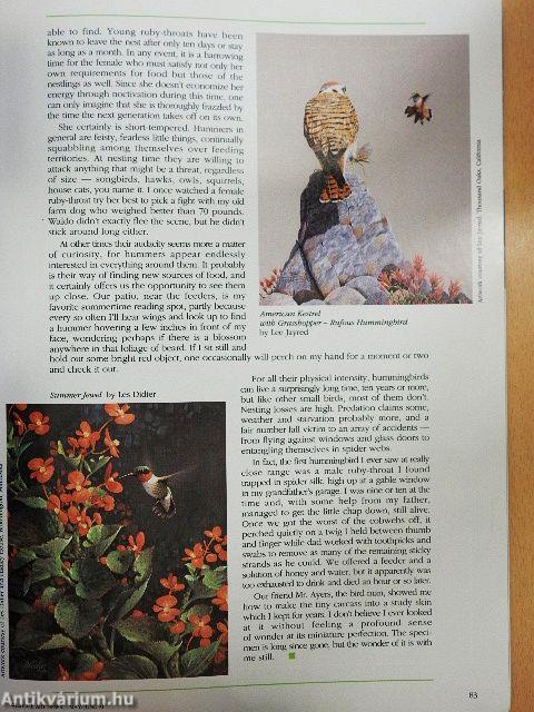 Wildlife Art News May/June 1991