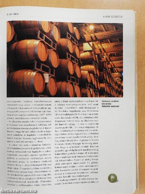 Magyar borok könyve