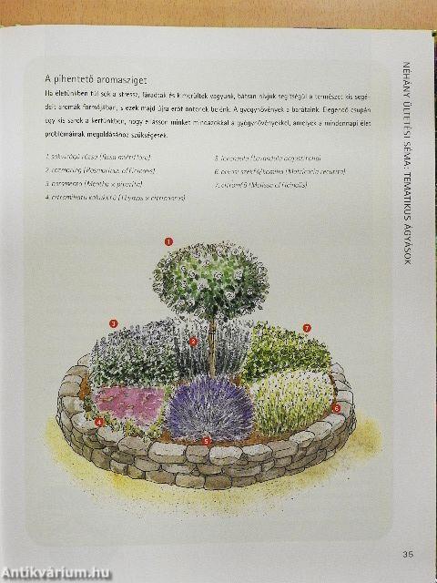 Gyógy- és fűszernövények kézikönyve