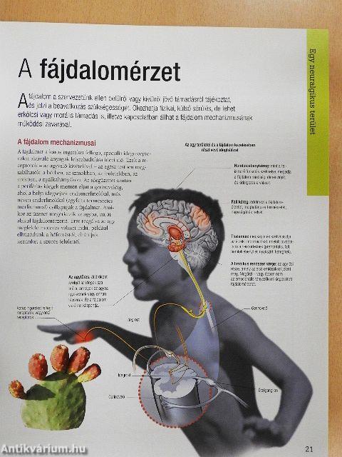 Friss elmével egy életen át