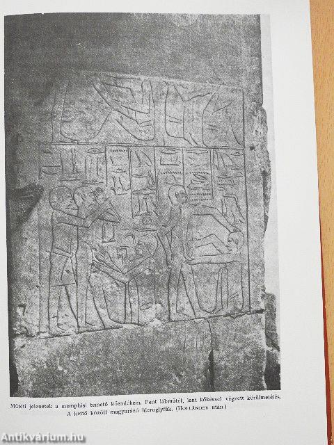 Az orvostudomány története