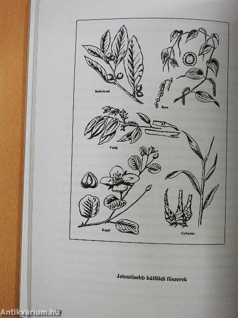 Élelmiszer-áruismeret II.