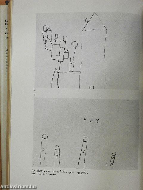 A gyermekkor és az ifjúkor psychiatriája