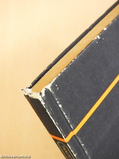 Magyar nyelv és irodalom