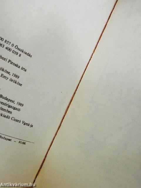 Dugó Dani Afrikában