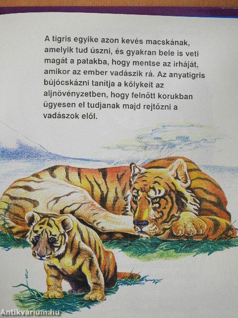 Állatmesék