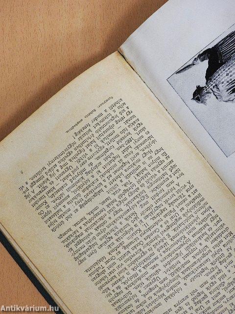 Szibéria meghódítása