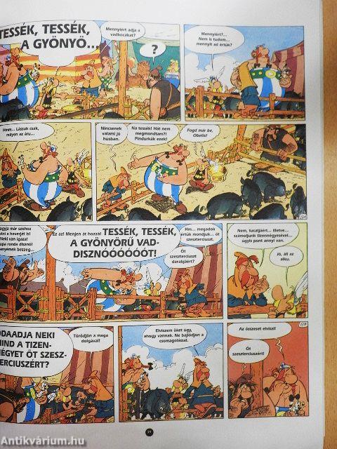 Asterix és a kondér