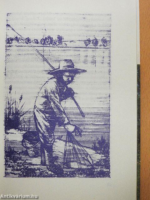 Legérdekesebb kis tavaink