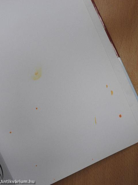 Olvasókönyv a Grimm testvérek meséiből