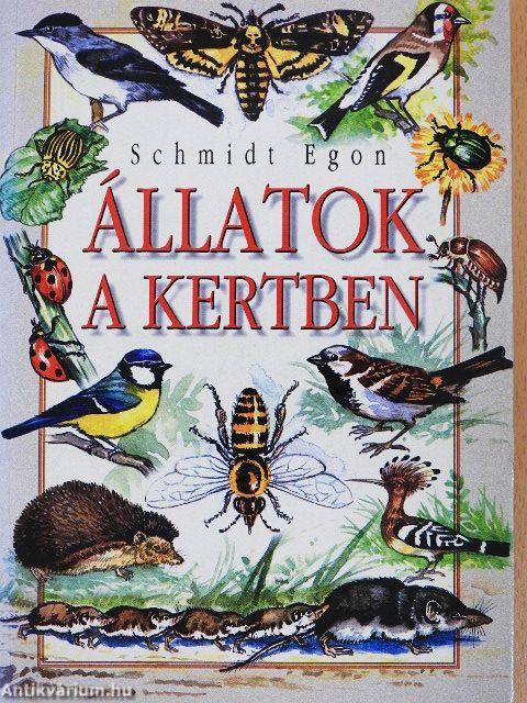 Állatok a kertben