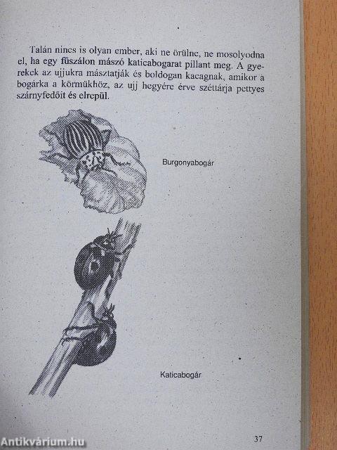 Állatok a kertben