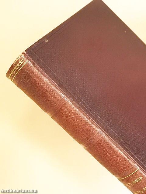 Die Beichte eines Thoren (gótbetűs)