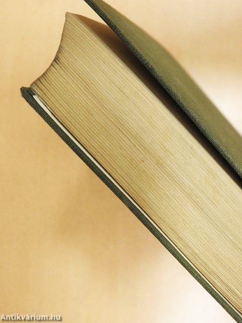 Die Martinsklause (gótbetűs)