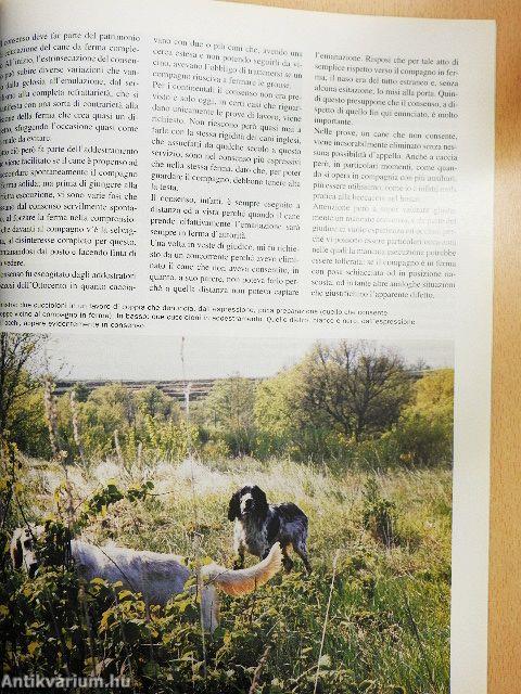 Diana 18 maggio 2000