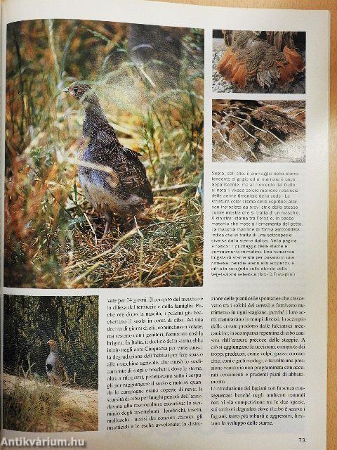 Diana 18 maggio 2000