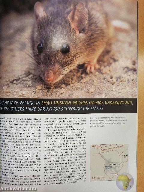 Africa Geographic February 2006
