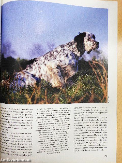 Diana 29 giugno 2000