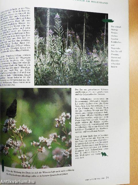 Wild und Hund Exklusiv 13.