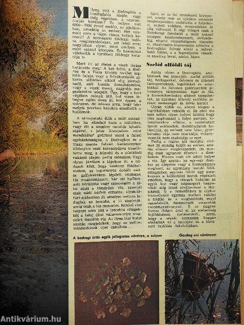 Élet és Tudomány 1977. (nem teljes évfolyam)