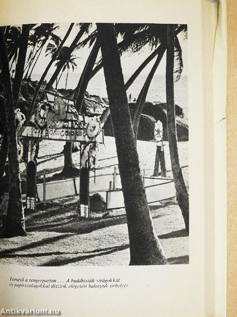 Buddha lábnyomában