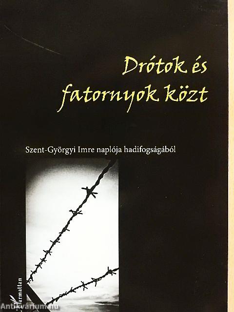 Drótok és fatornyok közt