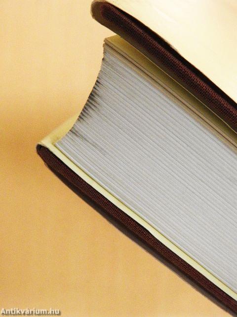 A város keresi múltját