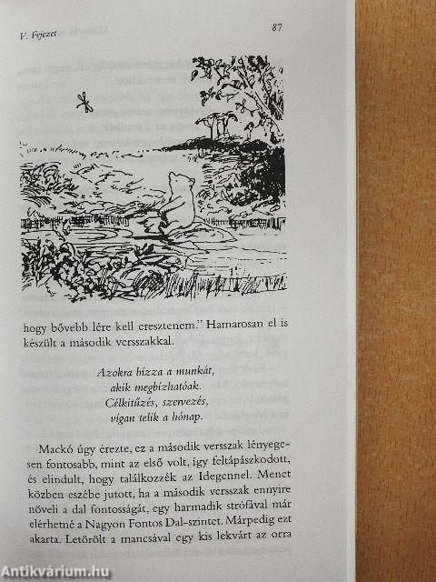 Micimackó-menedzsment