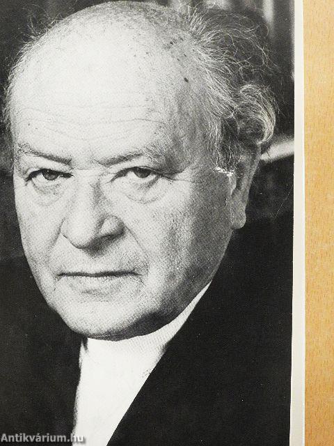 Egy katona megy a hóban