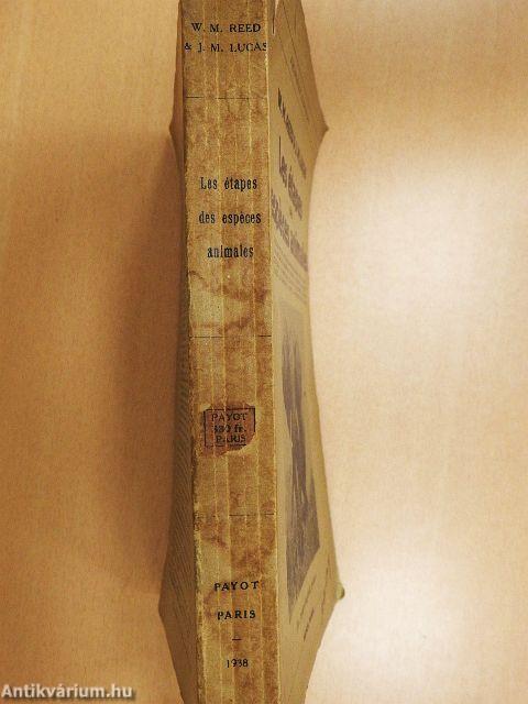 Les étapes des espéces animales