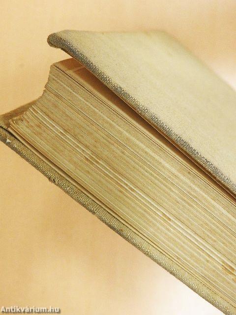 Zwischen zwei Kontinenten