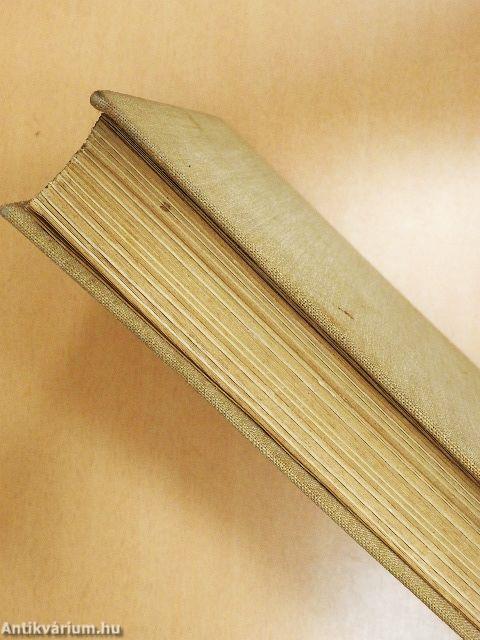 Zwischen zwei Kontinenten