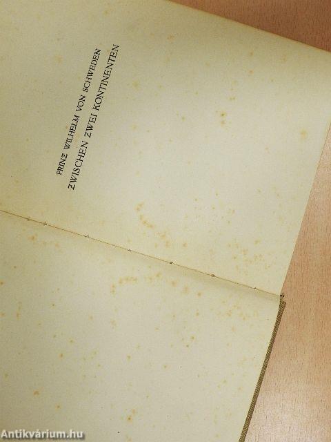 Zwischen zwei Kontinenten